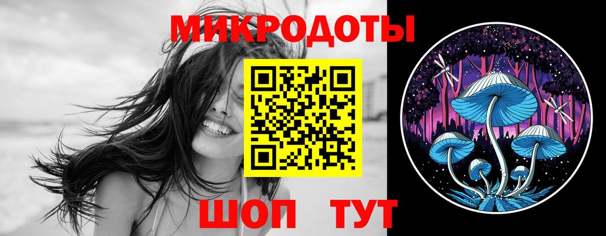 Псилоцибиновые грибы GOLDEN TEACHER  магазин продажи наркотиков  Курчалой  Вход с VPN 